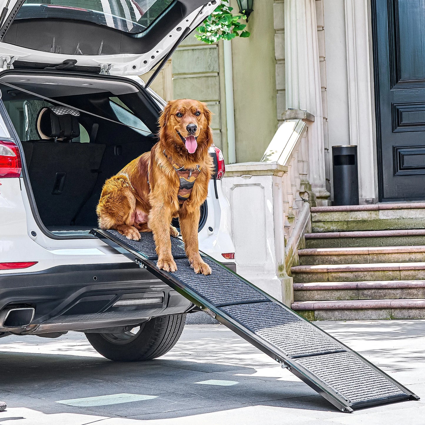 Folding Dog Ramp for Car