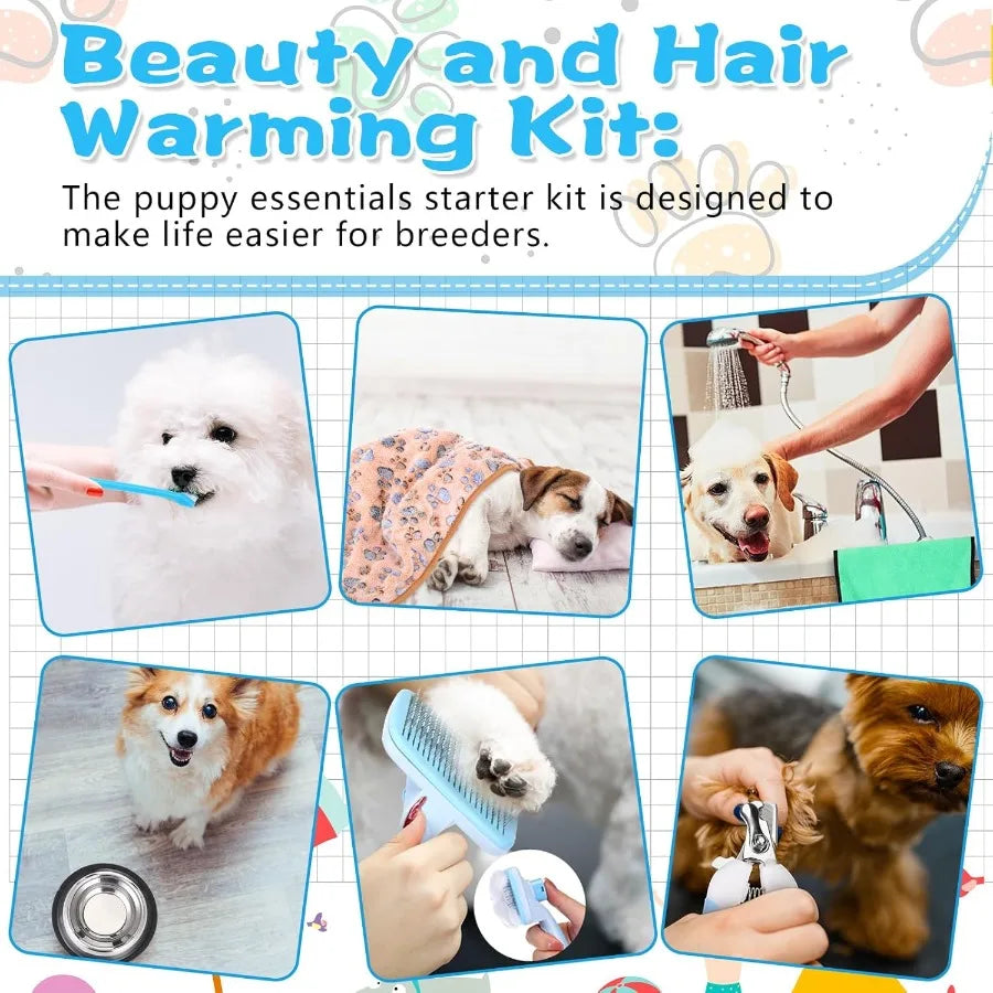 65 Piece Puppy Starter Kit With Leash Toys And Essentials