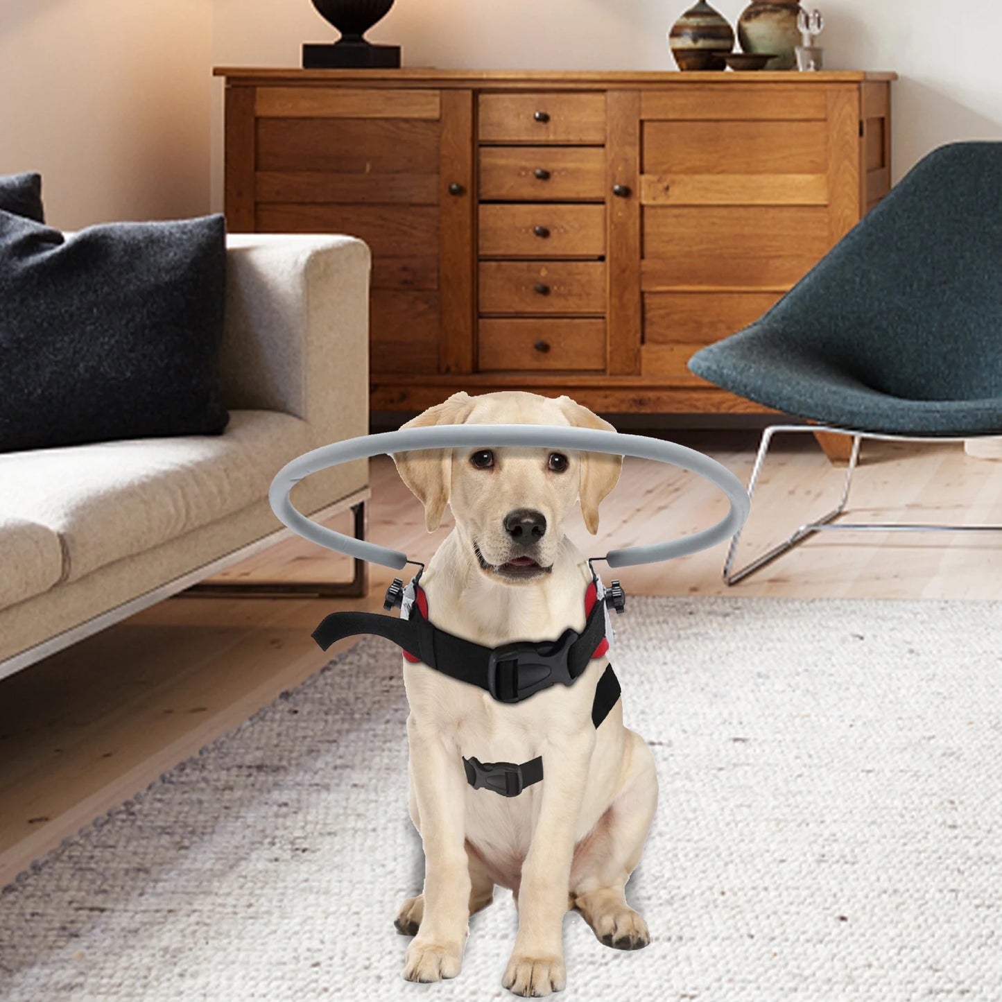 Blind Dog Halo Harness Anti Collision Halo Ring For Visually Impaired Pets