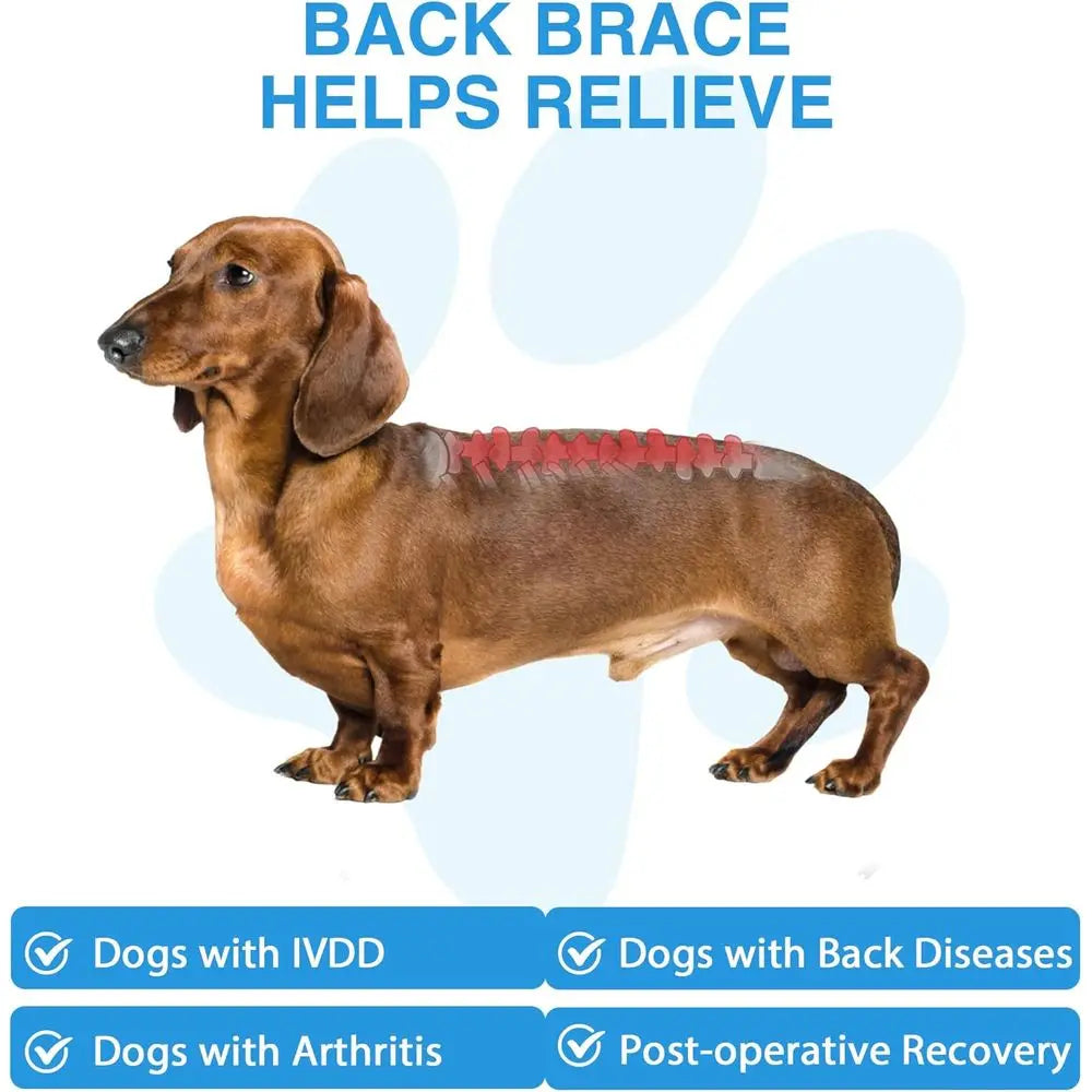 Canine IVDD Orthopedic Support Harness For Significantly Enhanced Spinal Stability