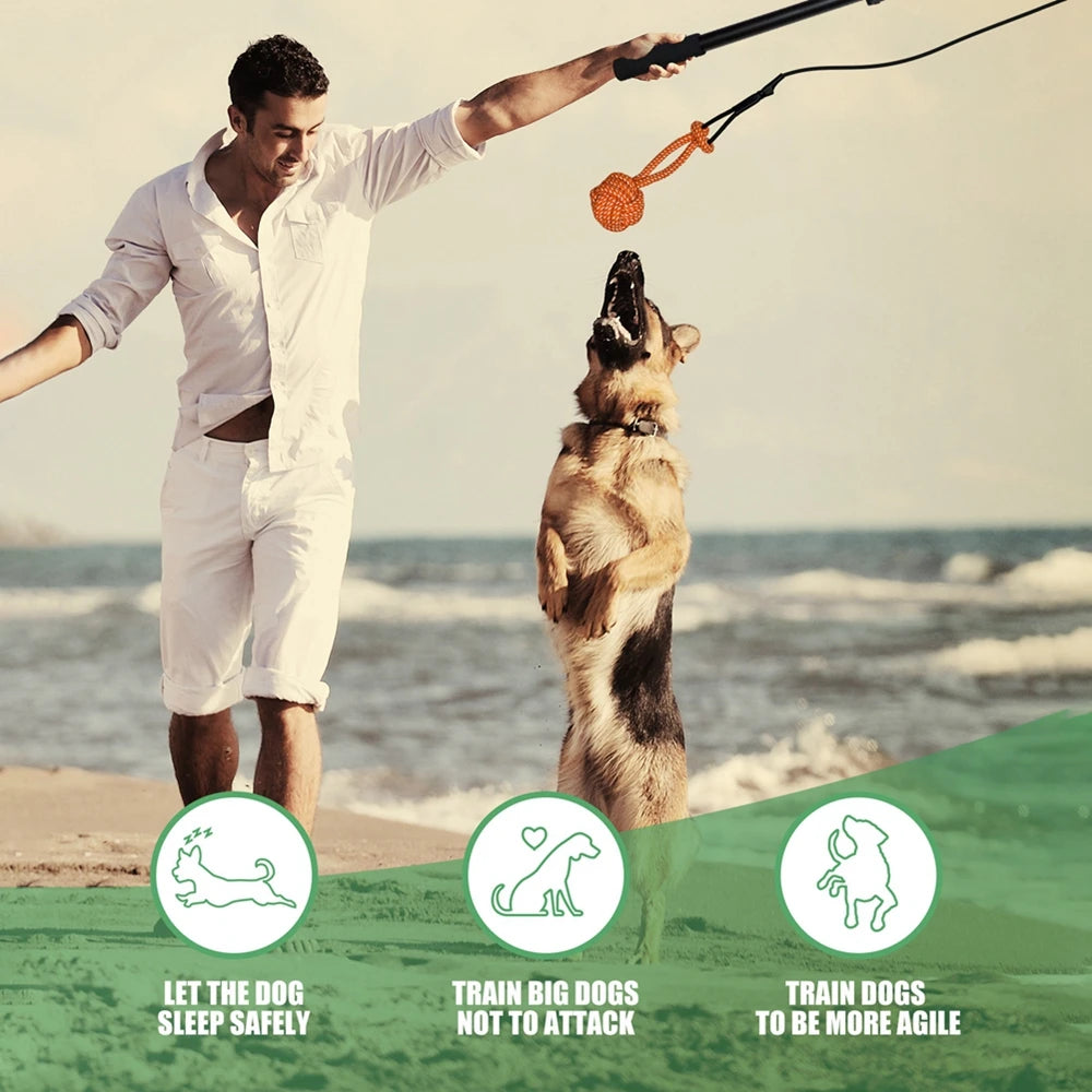 Extendable Flirt Pole Interactive Dog Toy For Outdoor Training