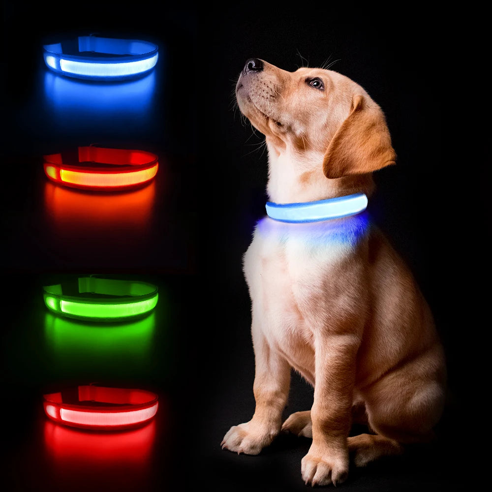 MASBRILLCN LED Dog Collar Waterproof Luminous Safety Luminescent Necklace Flashing