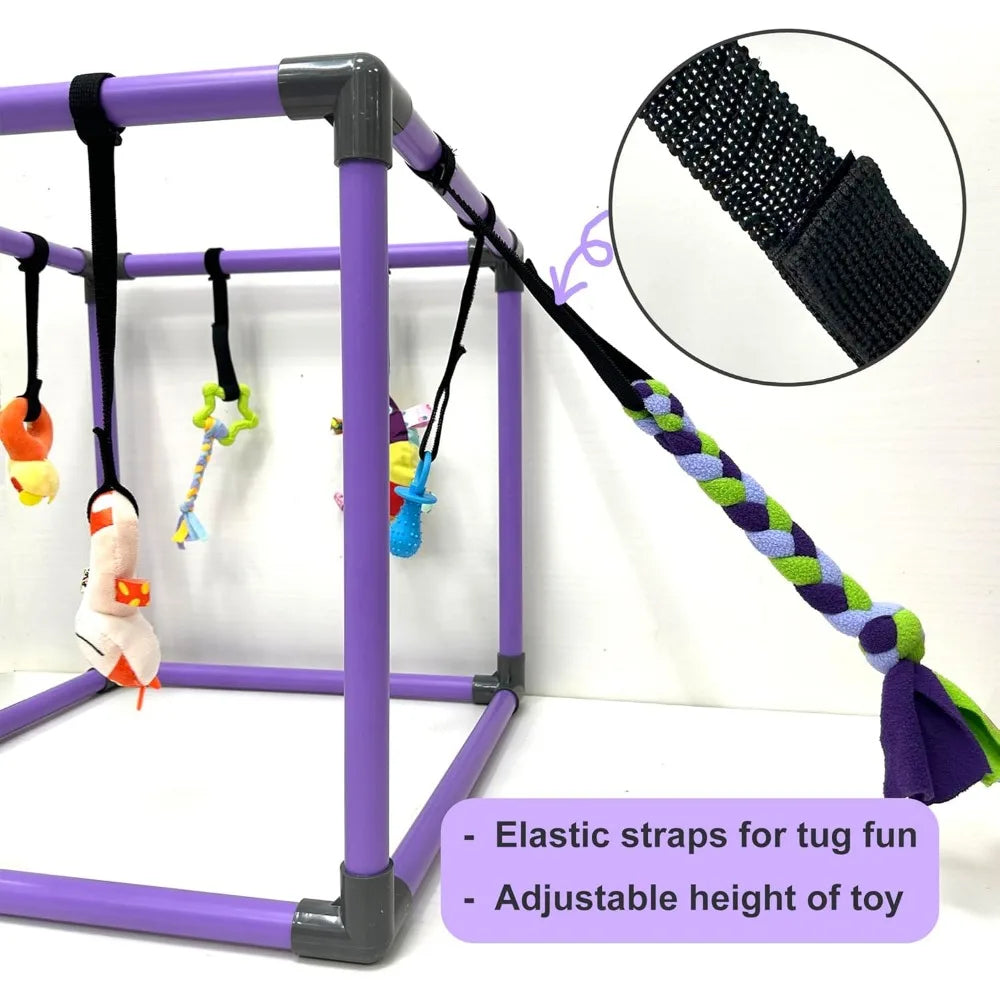 Puppy Play Gym for Small Dogs With Eight Hanging Toys