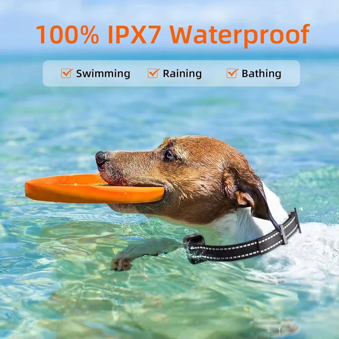 Paipaitek 1000M Dog Training Collar Waterproof Rechargeable Anti Bark