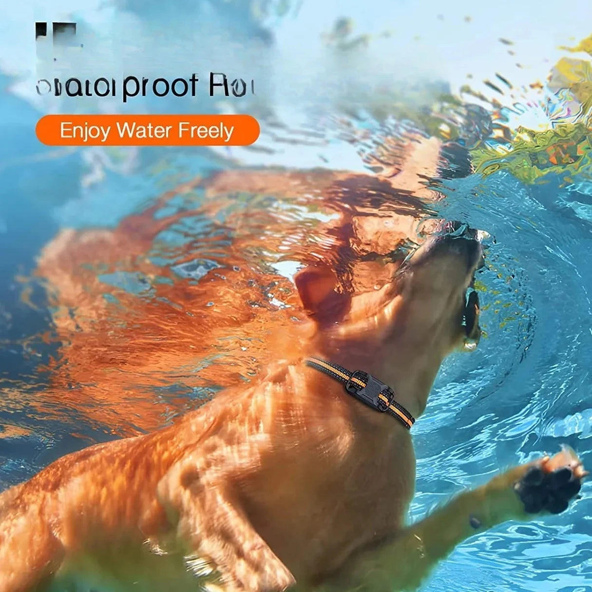 1000M Pet Dog Training Collar IP67 Waterproof Shock Vibration Rechargeable Collar Pet Trainer Anti Bark Stop For 2 Dogs