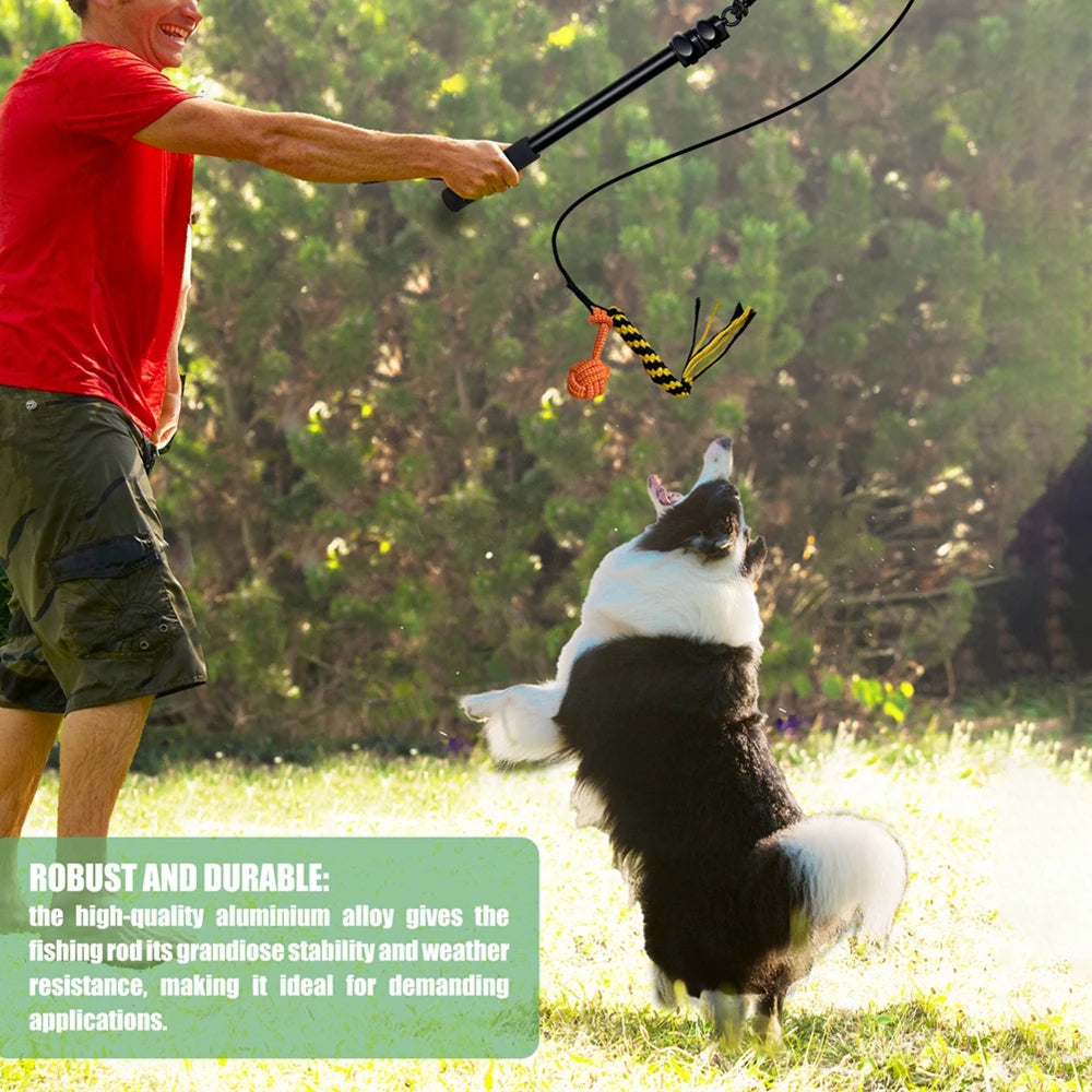 Extendable Flirt Pole Interactive Dog Toy For Outdoor Training