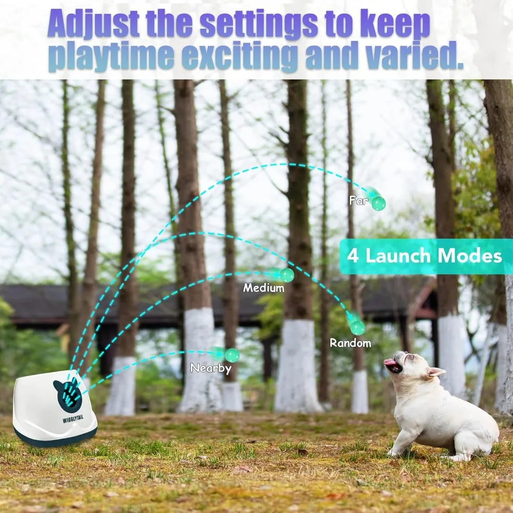 Automatic Ball Launcher For Dogs With 4 Adjustable Distances