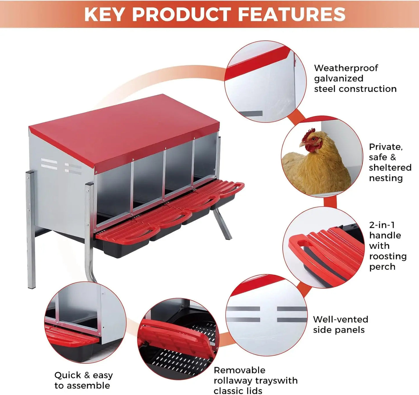 TWISTER.CK Automatic Egg Collection Nesting Box For Hens Ducks