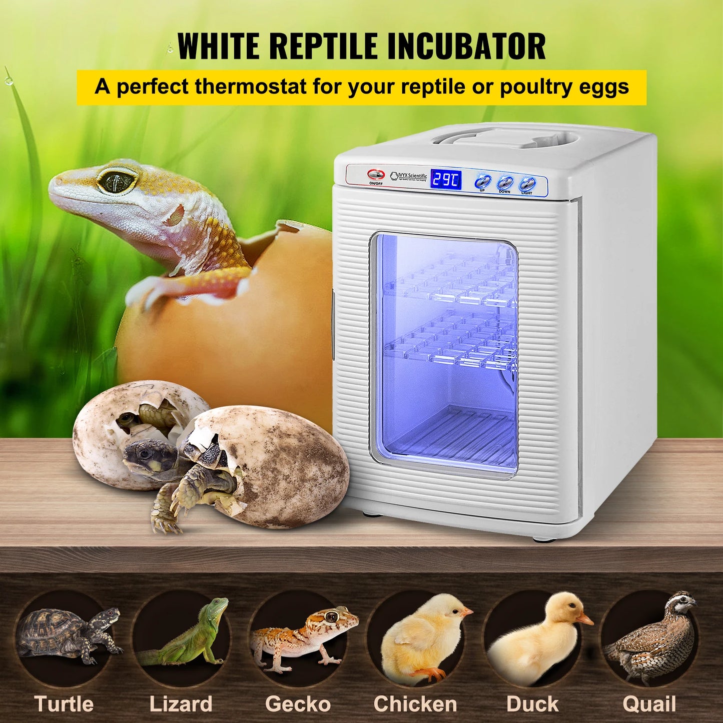 Reptile Incubator Scientific Lab Hatchery For Snakes And Turtles