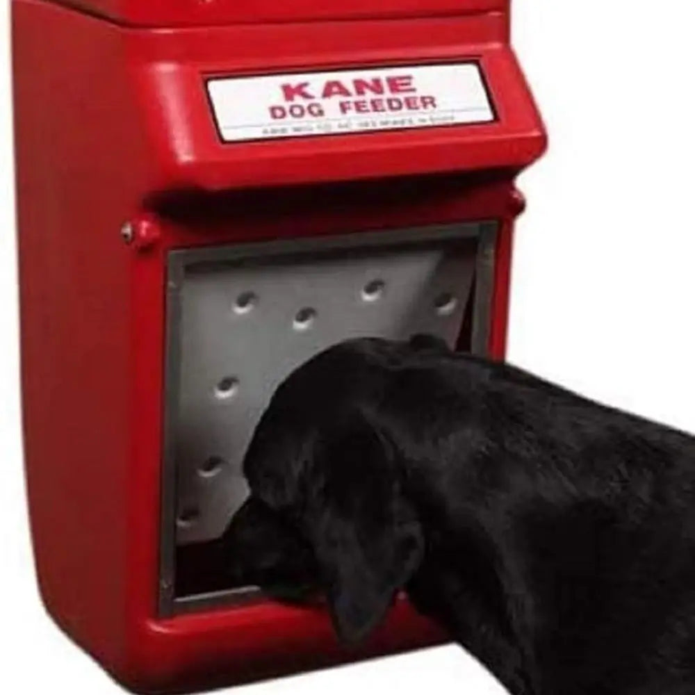 Wall Mount Auto Shut Dog Feeder Dispenser For Dry Food