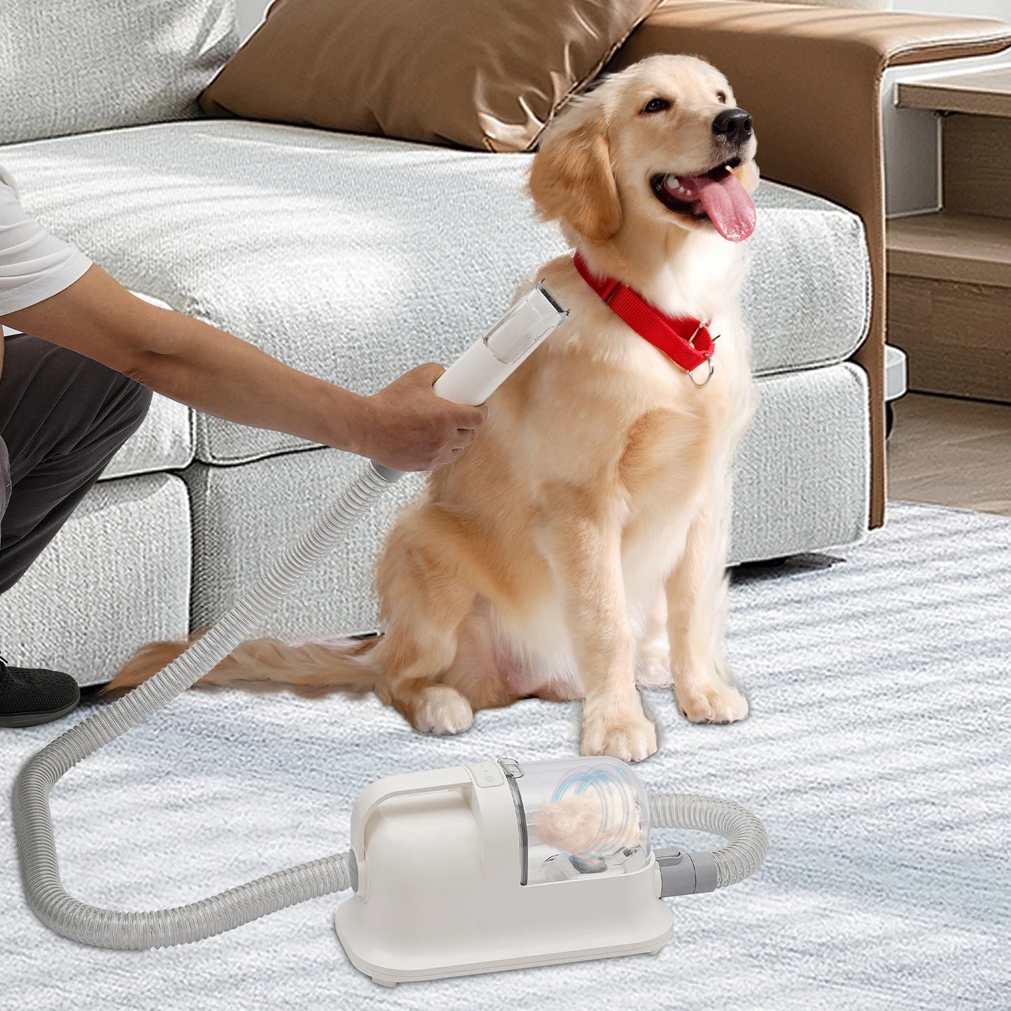 Pet Hair Grooming Tool Set Shaving Combing And 11800pa Suction Low Noise Hair Trimmer Three-in-One Pet Hair Grooming Tool