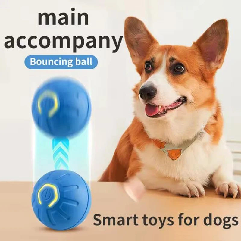 Interactive USB Powered Pet Ball Toy for Dogs and Cats