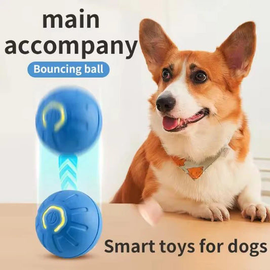 Interactive USB Powered Pet Ball Toy for Dogs and Cats