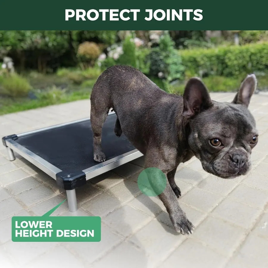 ChewProof Elevated Dog Bed For Indoor Outdoor Use Waterproof