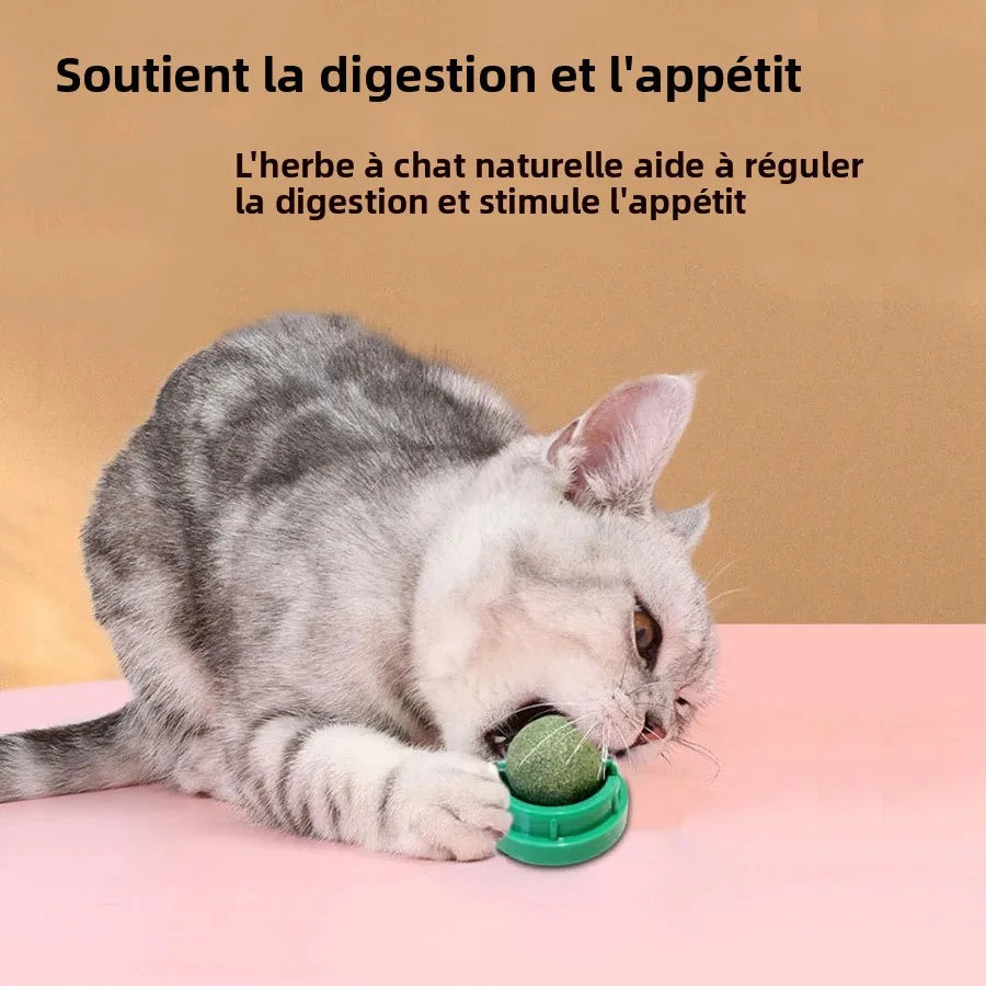 Spinning Catnip Mint Ball For Cats Interactive Dental Chew Toy