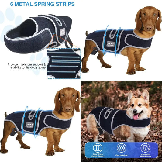 Small Dog IVDD Support Harness for Spinal Comfort and Stability, Ideal for Dachshund Recovery