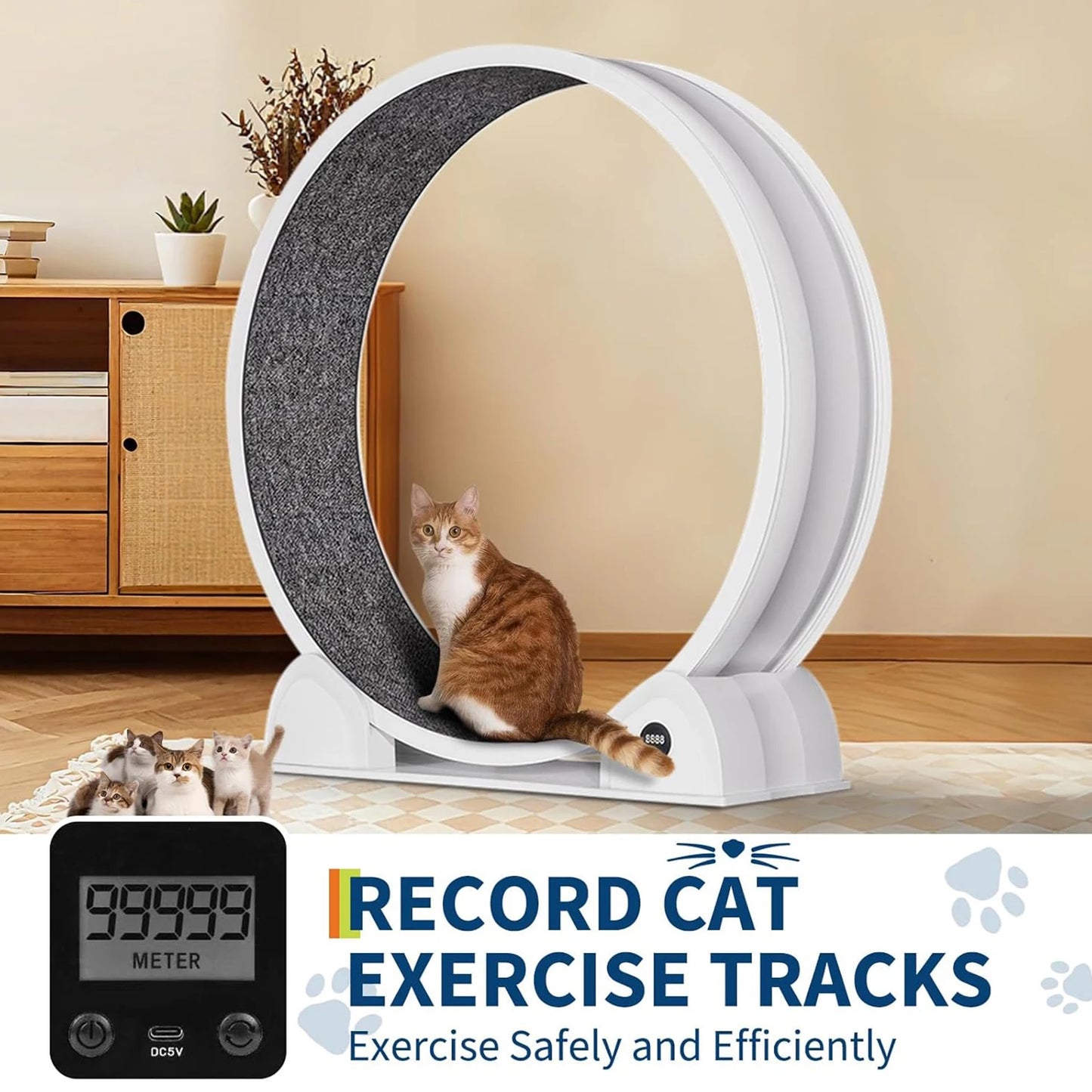 HiMISSCN Cat Exercise Wheel For Indoor Cats ABS Quiet Exerciser With Pedometer For Pets
