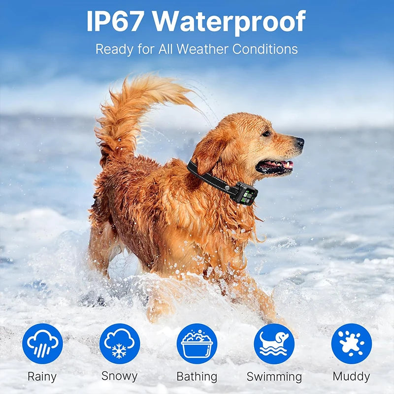 PetEdu Dog Training Collar With GPS Fence And Bark Stopper