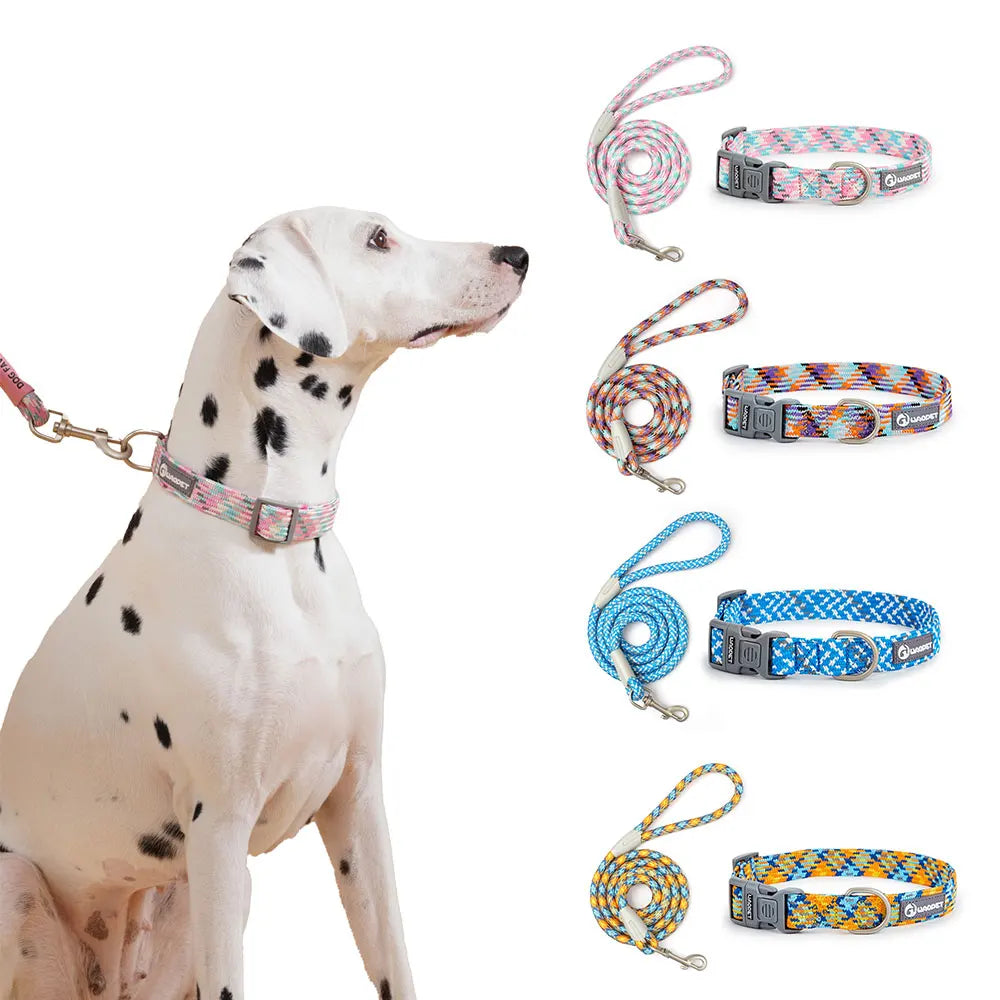 Reflective Dog Leash And Collar Set For Outdoor Walking