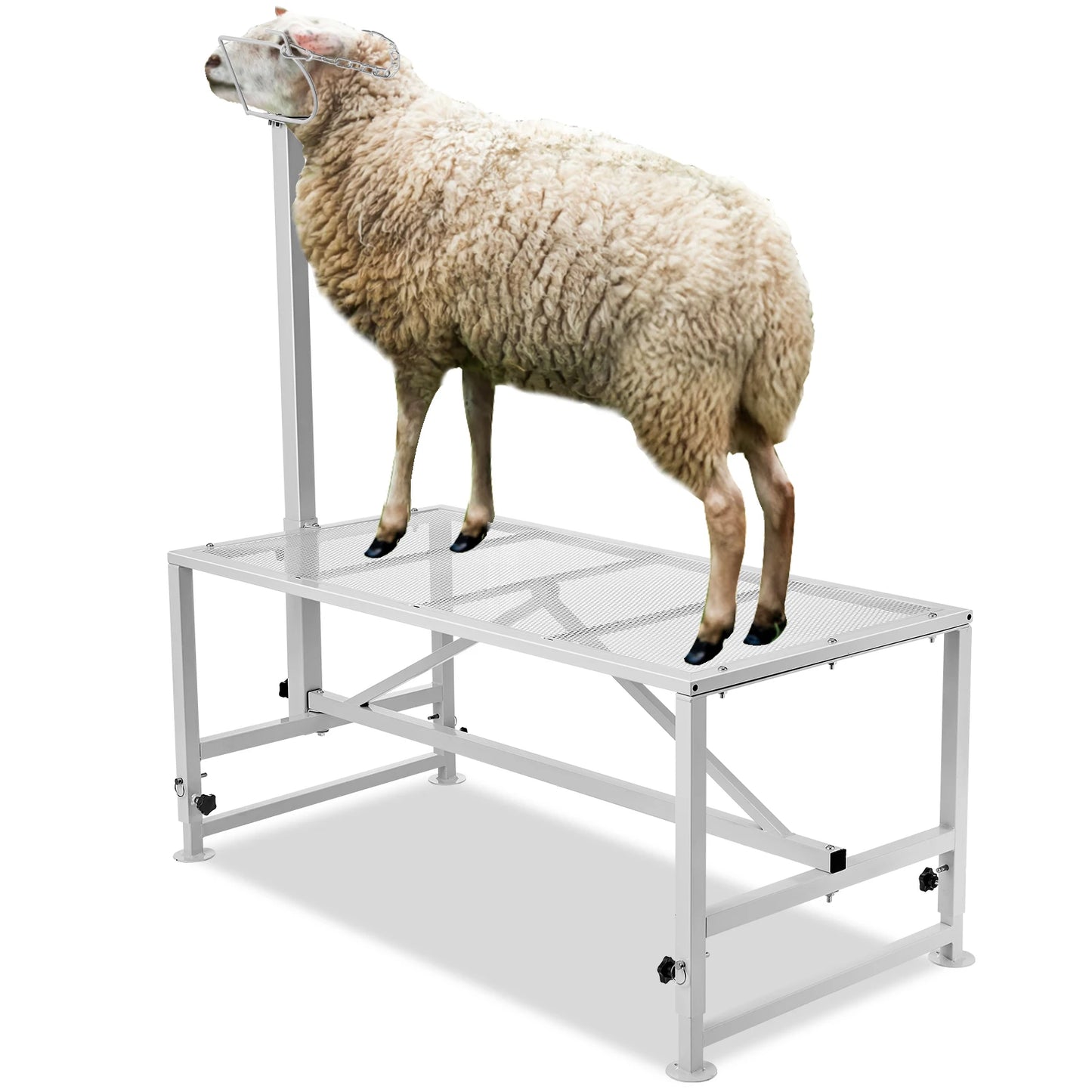 SucceBuy Goat and Sheep Livestock Milking and Shearing Stand