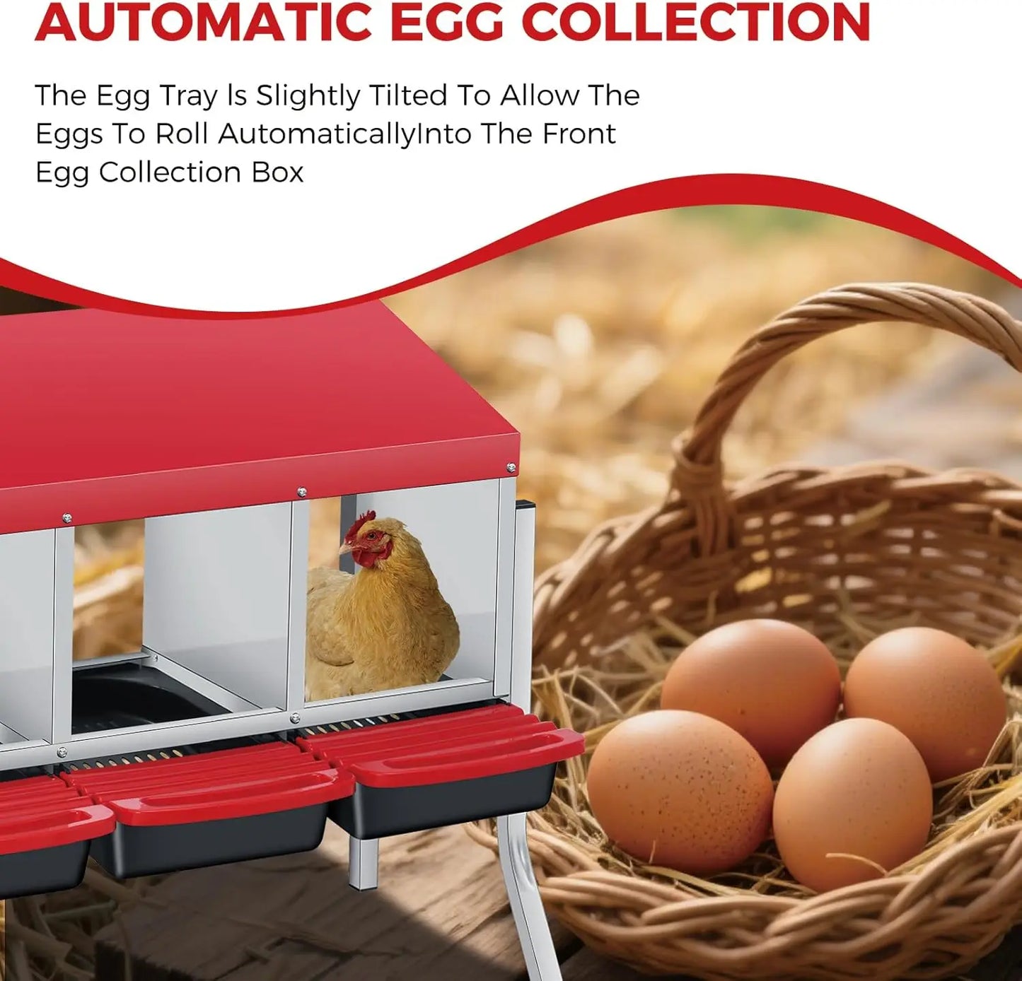 TWISTER.CK Automatic Egg Collection Nesting Box For Hens Ducks