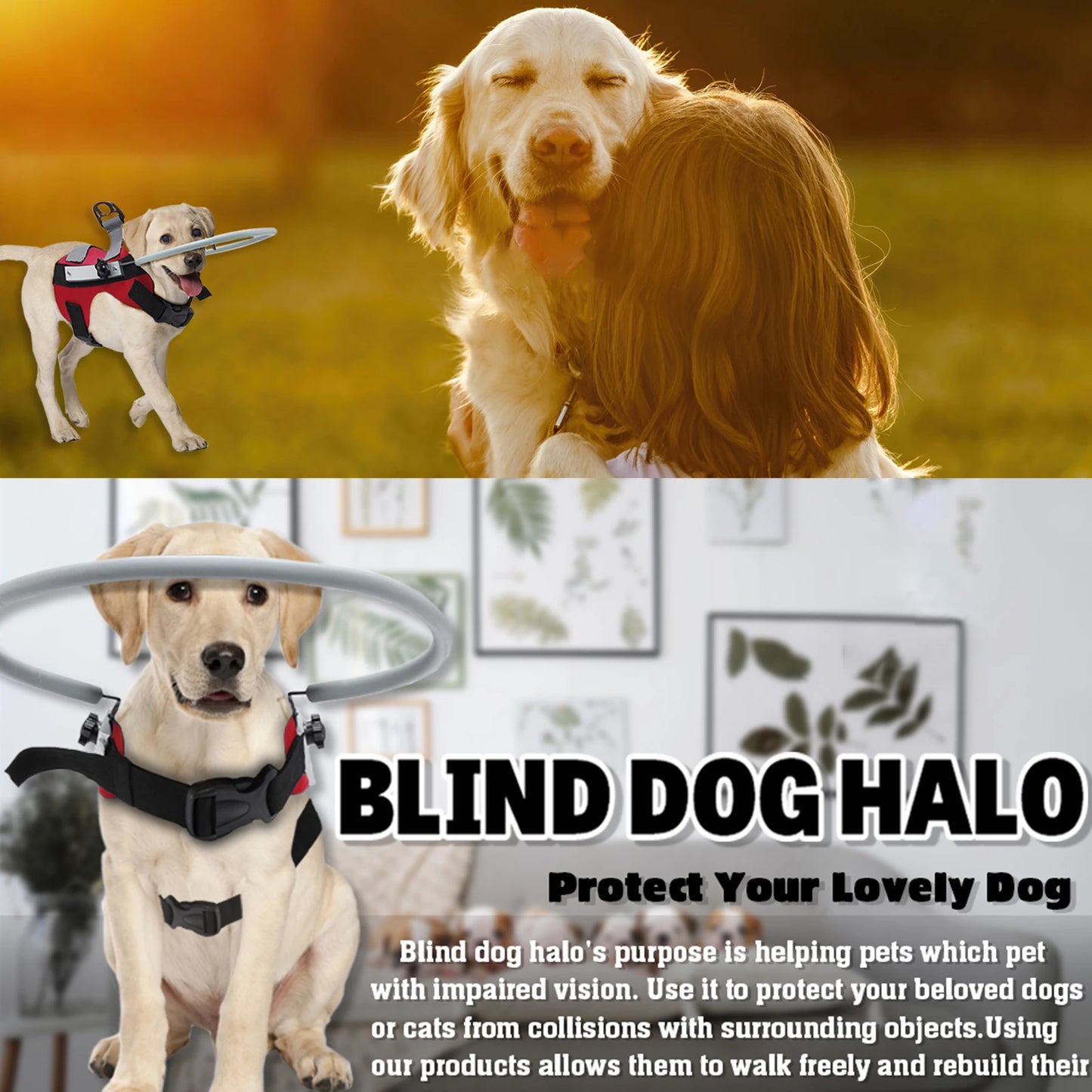 Blind Dog Halo Harness Anti Collision Halo Ring For Visually Impaired Pets