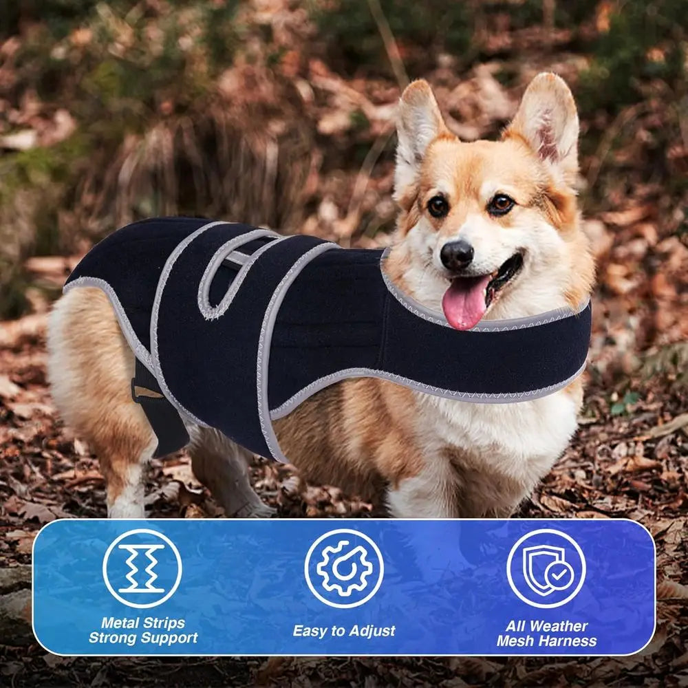 Canine IVDD Orthopedic Support Harness For Significantly Enhanced Spinal Stability