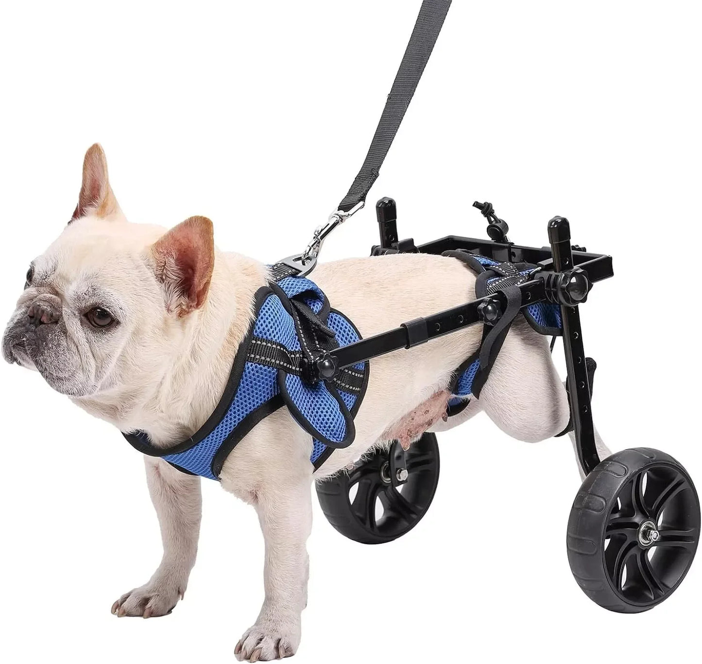 Dog Wheelchair for Back Legs With All-Terrain Tires