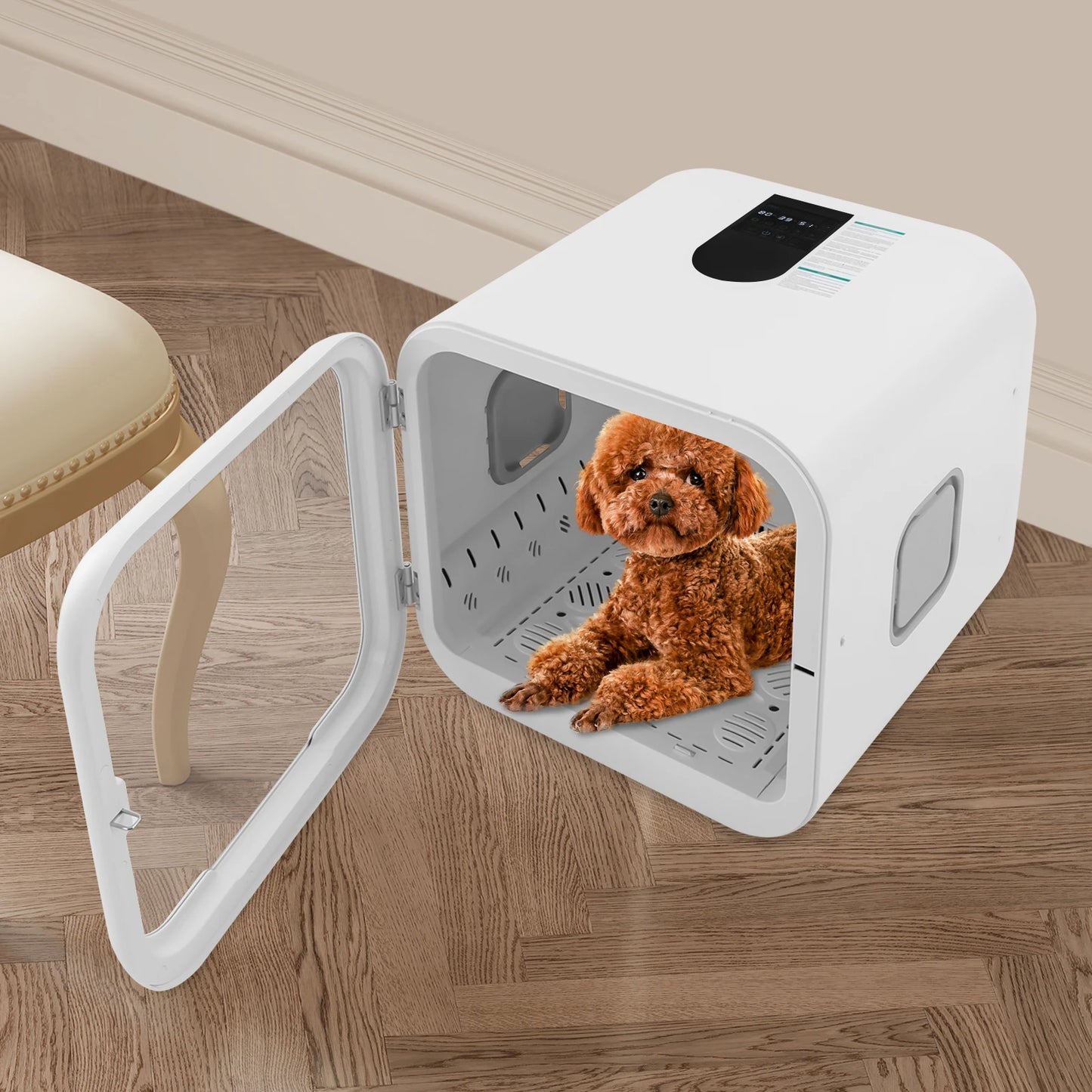 800W Pet Dryer Box Grooming Hair Dryer For Cats Sanitizing