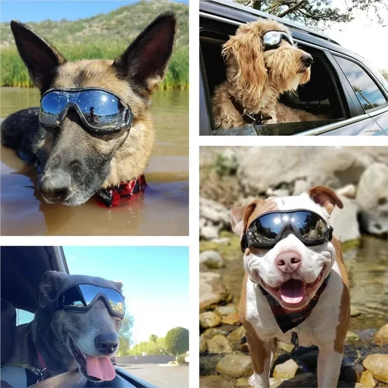 Dog Goggles With Adjustable Strap For Outdoor Travel And Skiing