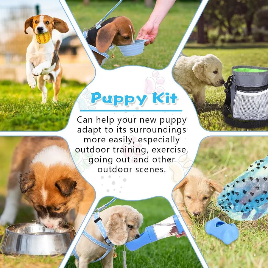 65 Piece Puppy Starter Kit With Leash Toys And Essentials