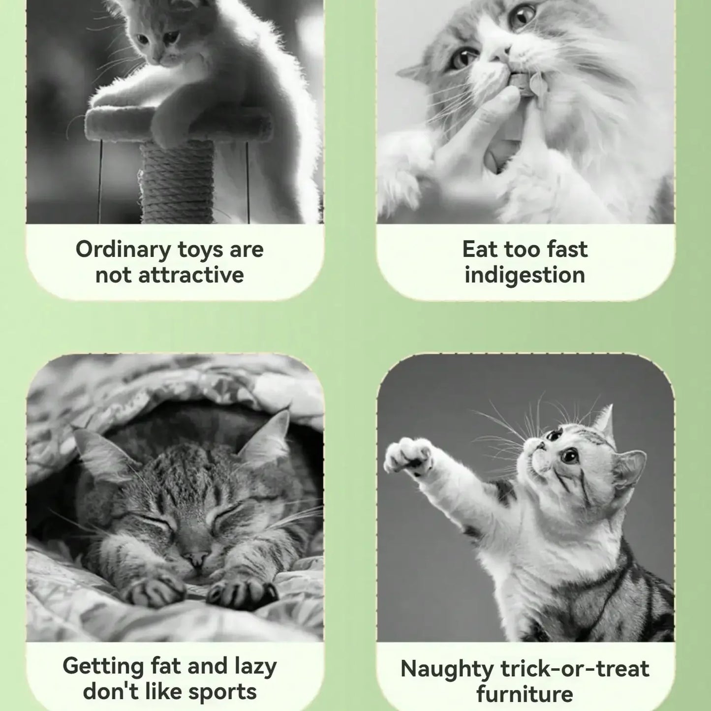 Planet 360 Degree Rotating Digging Snack Dispenser Toy For Cats