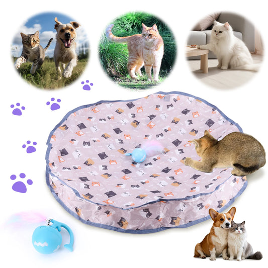 Alloet Motion Activated Chirping Cat Toy Ball for Pets