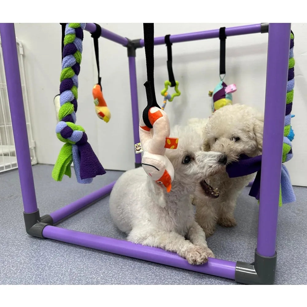 Puppy Play Gym for Small Dogs With Eight Hanging Toys