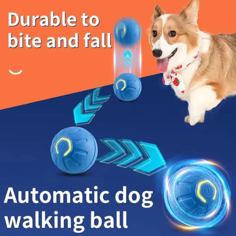 Interactive USB Powered Pet Ball Toy for Dogs and Cats