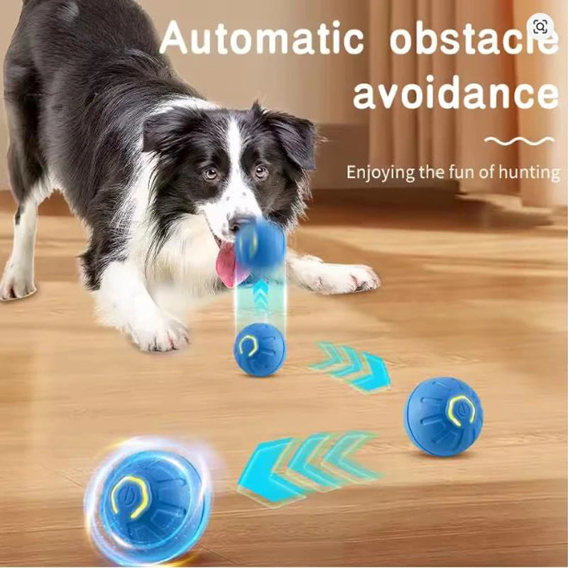 Interactive USB Powered Pet Ball Toy for Dogs and Cats