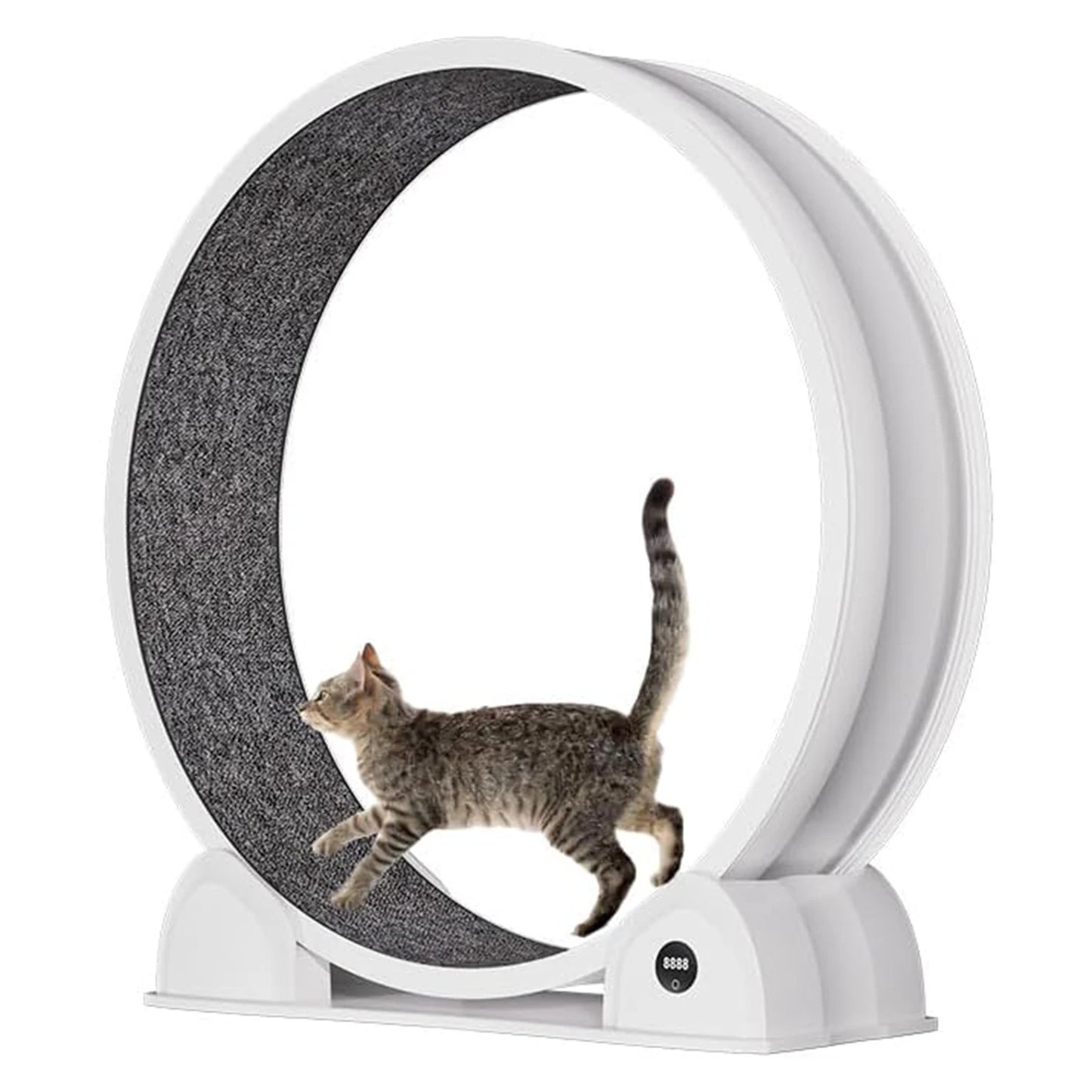HiMISSCN Cat Exercise Wheel For Indoor Cats ABS Quiet Exerciser With Pedometer For Pets