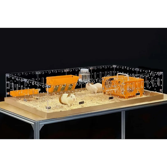 Large 4x2ft Open Acrylic Cage for Guinea Pigs Bunnies Quails Hedgehogs and Other Roaming Small Animals DIY Extendable Design wi