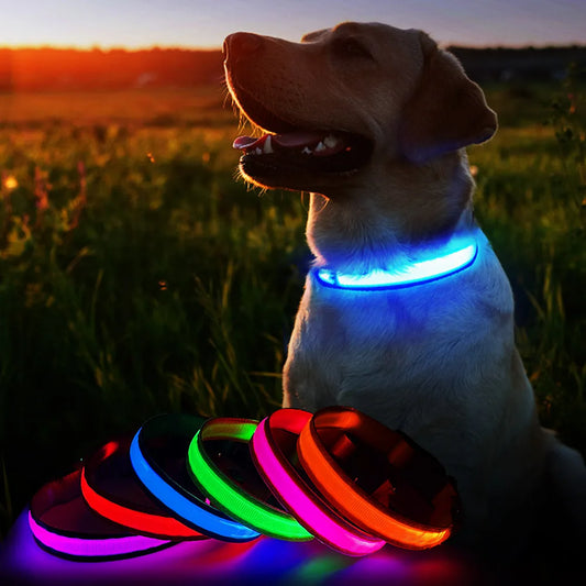 MASBRILLCN LED Dog Collar Waterproof Luminous Safety Luminescent Necklace Flashing