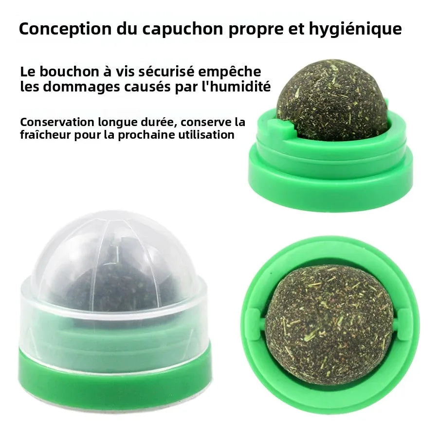 Spinning Catnip Mint Ball For Cats Interactive Dental Chew Toy