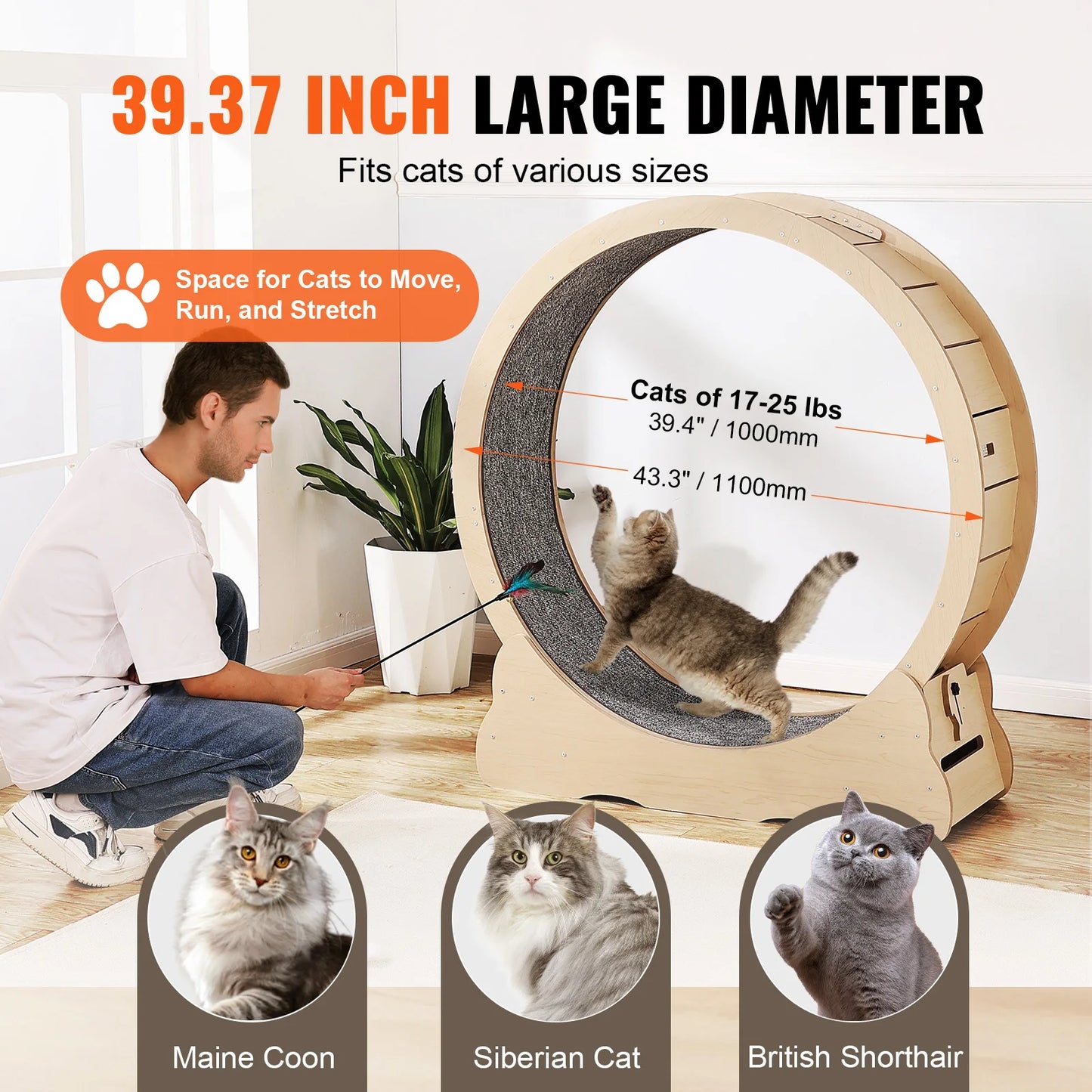 PremiumSolidWood Wooden Cat Exercise Wheel Indoor Running Solution Detachable Carpet