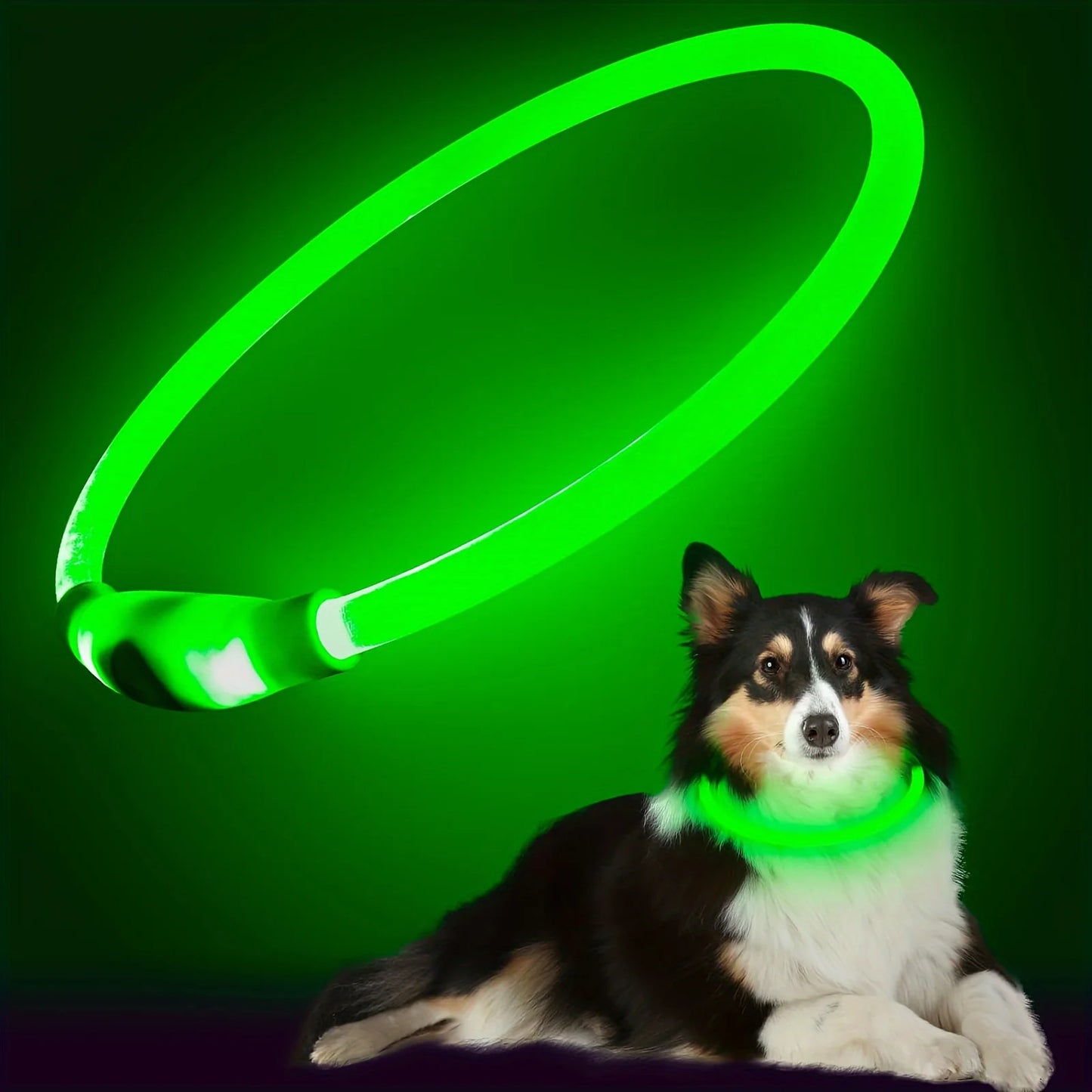Dog LED Light Collar USB Rechargeable Reflective Anti Lost