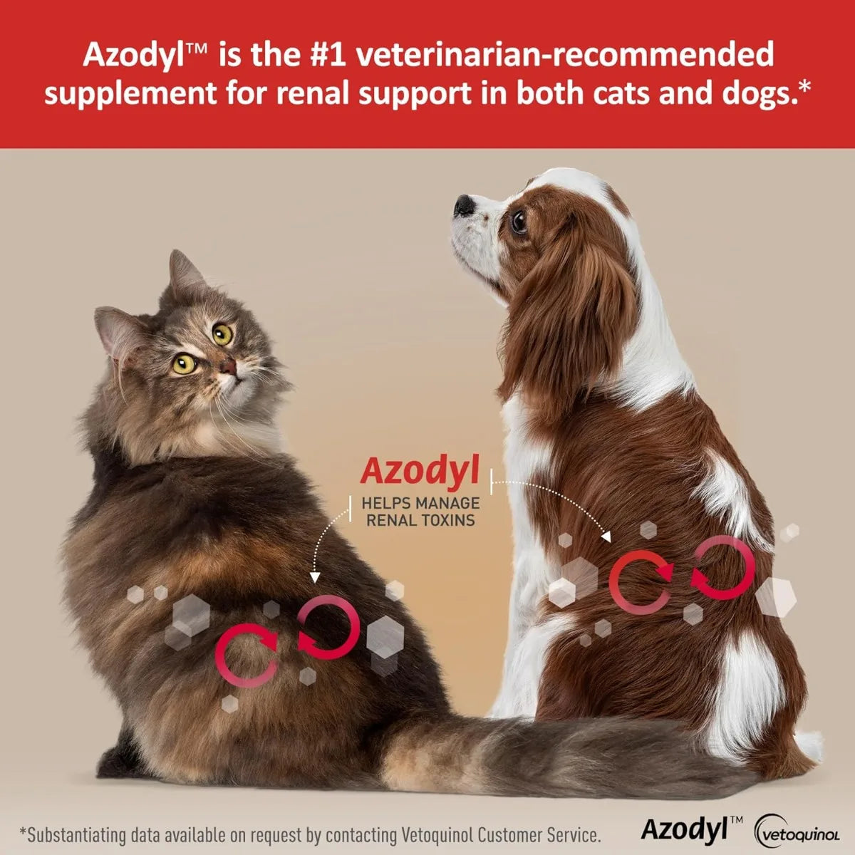 Kidney Care Supplement for Dogs & Cats, Vetoquinol Azodyl 90ct Probiotic Formula to Support Renal Health & Toxin Management