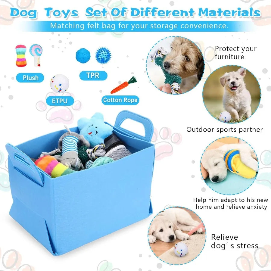 65 Piece Puppy Starter Kit With Leash Toys And Essentials