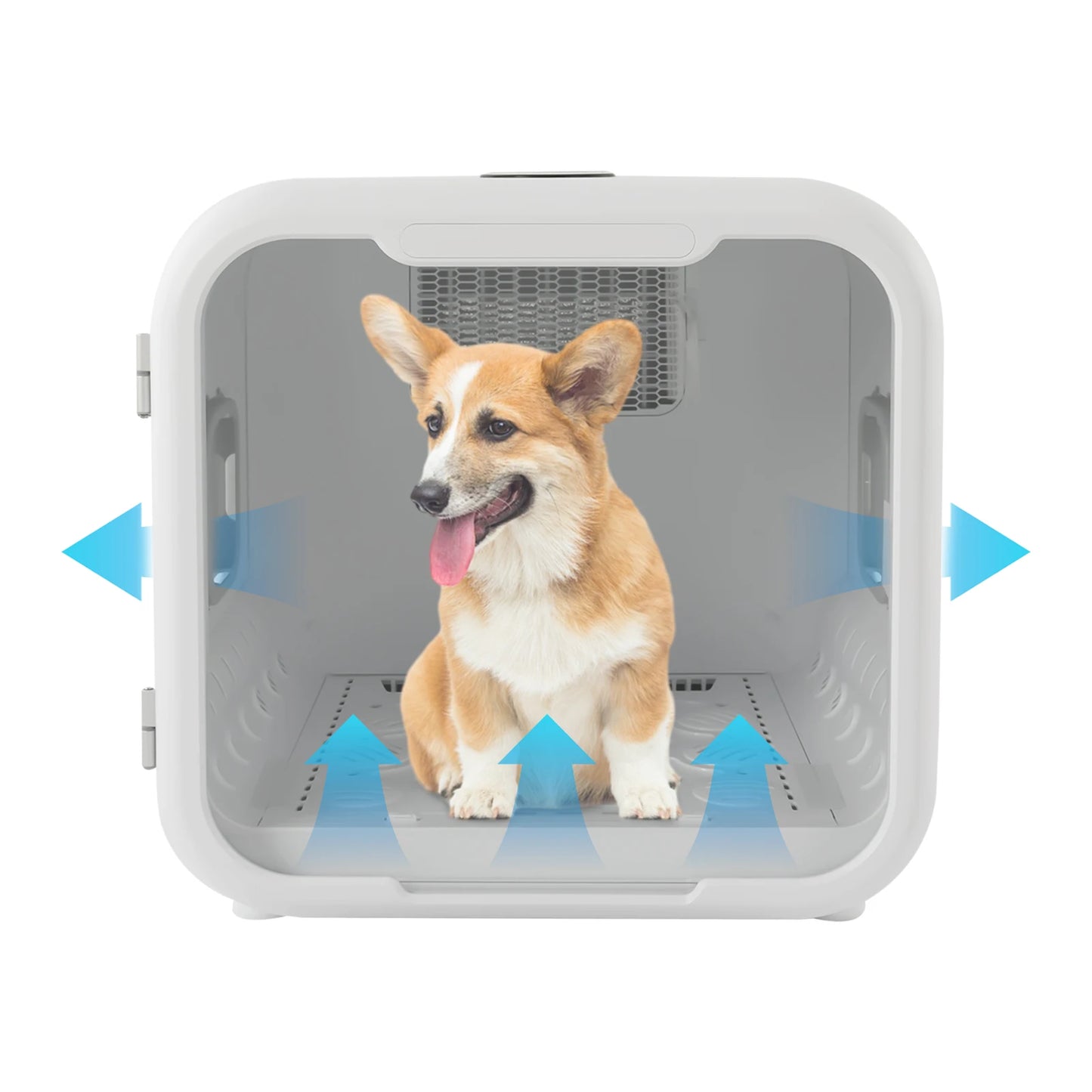 800W Pet Dryer Box Grooming Hair Dryer For Cats Sanitizing