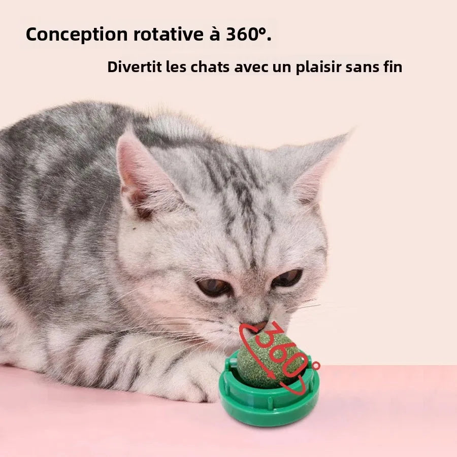Spinning Catnip Mint Ball For Cats Interactive Dental Chew Toy