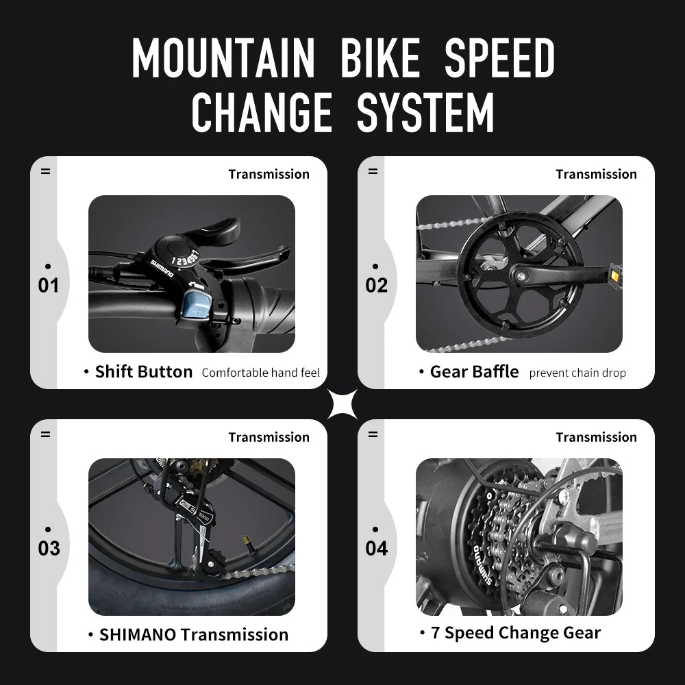 Deepower Electric Bike QS7 1000W 48V 60AH 20 Inch Fat Tire Ebike for Adults Mountain Off-Road Dual Batteries Electric Bicycle