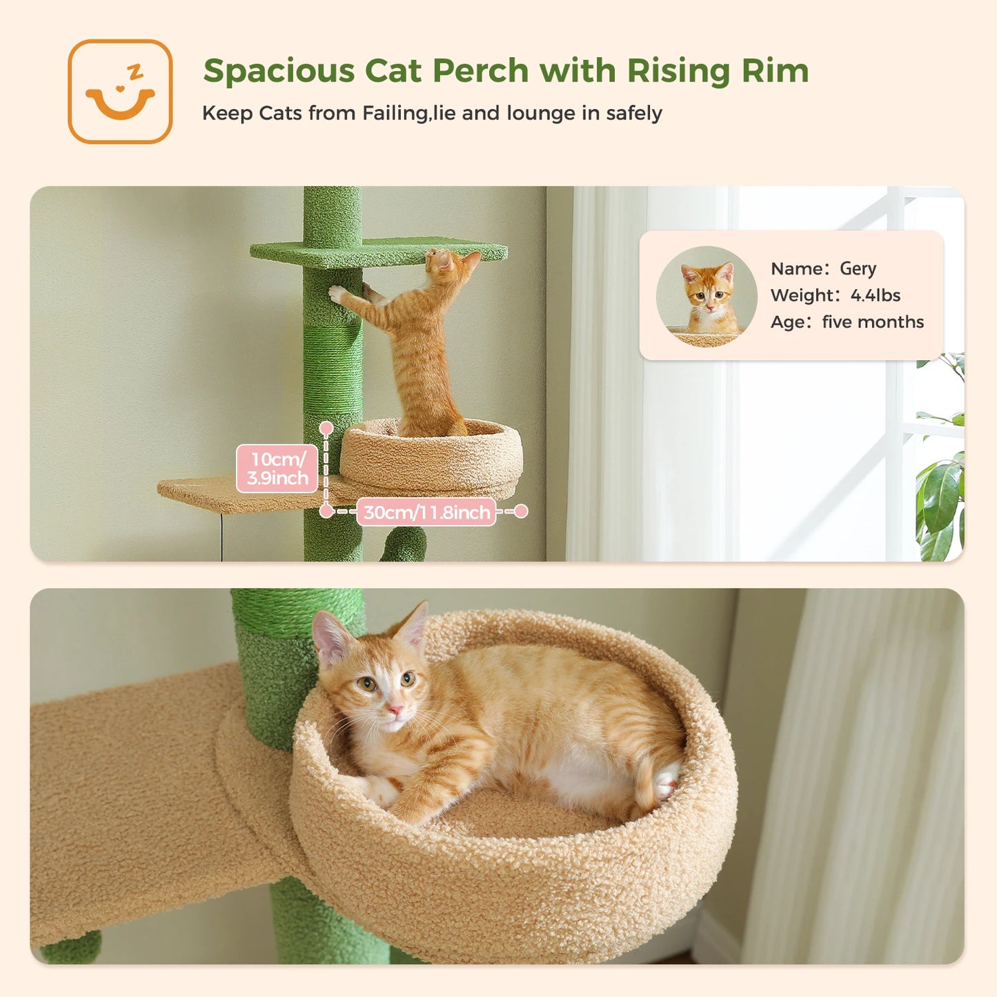 PEQULTICN Adjustable Height Cactus Cat Tree for Indoor Cats