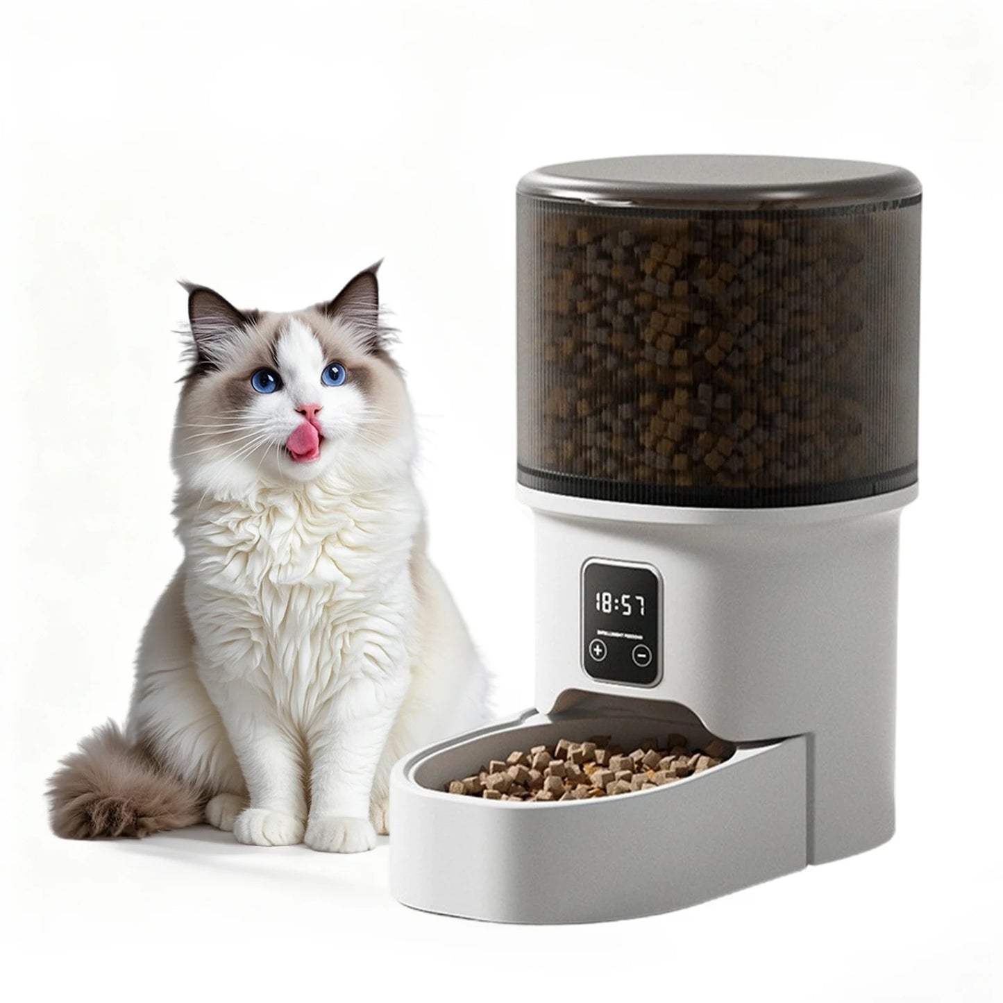 Programmable 4L Automatic Pet Feeder for Small Dogs Cats, Up to 6 Meals Daily, Timer/Portion Control, Pet Feeding Food Dispenser