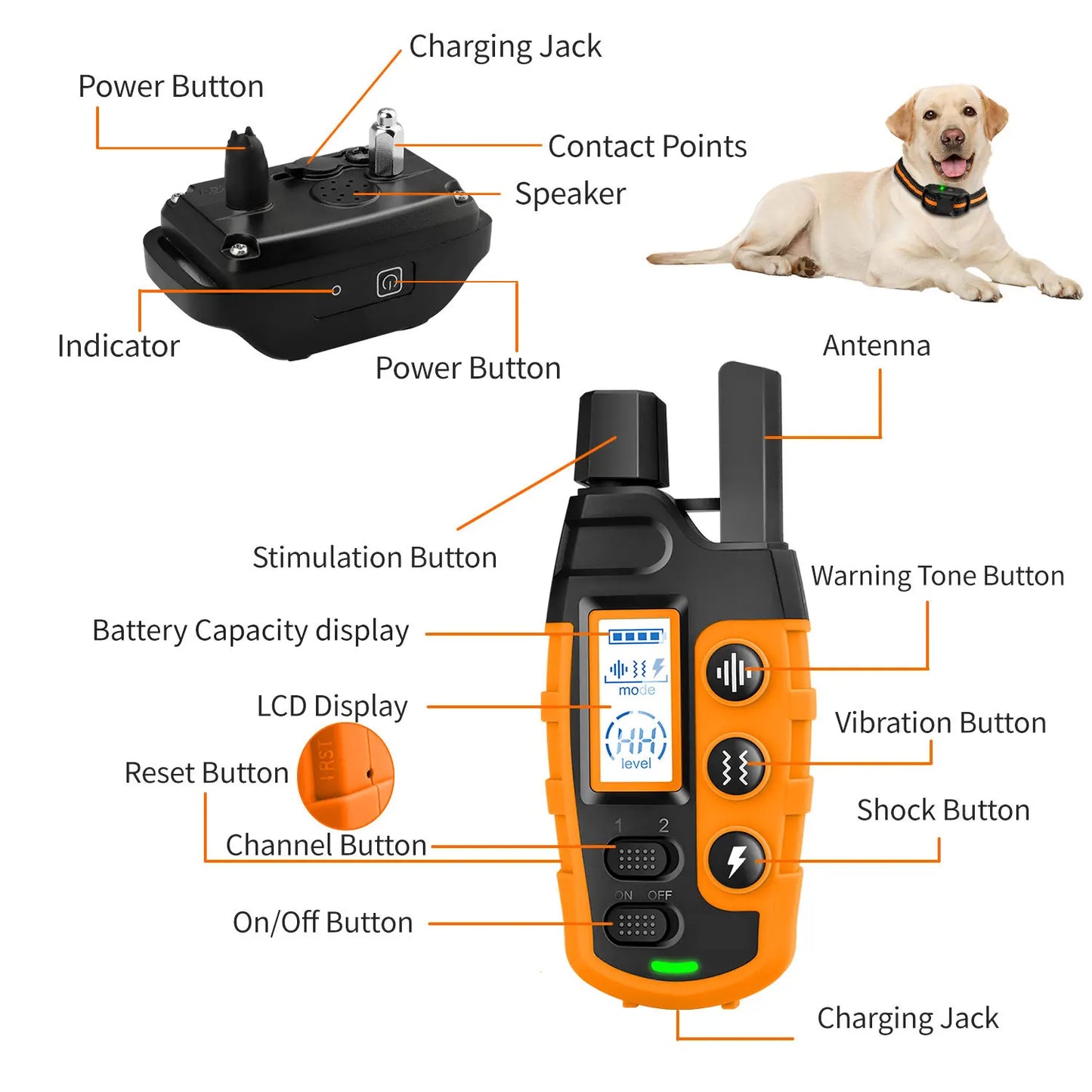 3300Ft Electric Dog Training Collar Remote Control Waterproof Pet BehaviorFor 5-120lbs Puppy With Shock Vibration Training